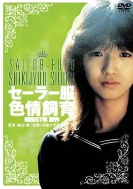 咸涩的风 家庭高清电影在线观看